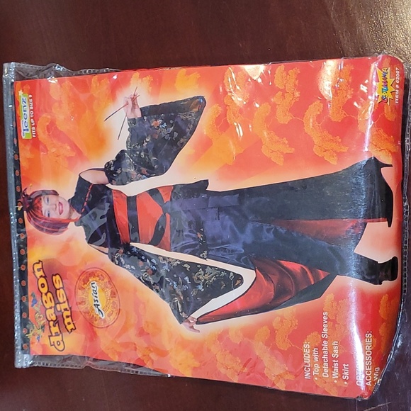 DRAGON MISS Costume - Picture 1 of 6